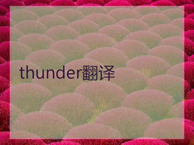 thunder翻译