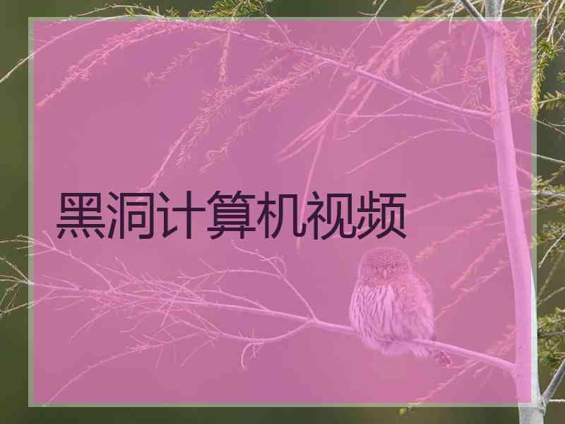 黑洞计算机视频