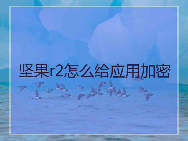 坚果r2怎么给应用加密