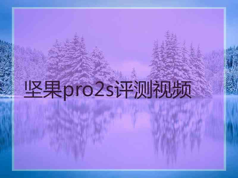 坚果pro2s评测视频
