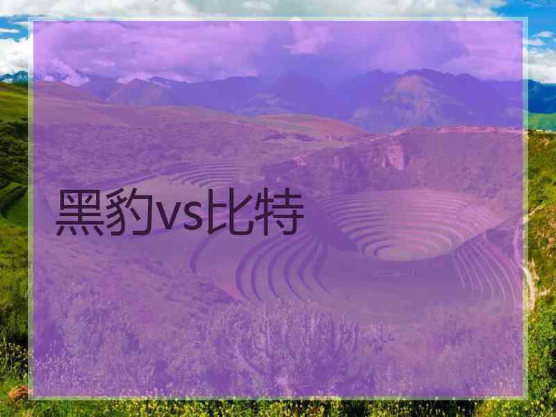 黑豹vs比特
