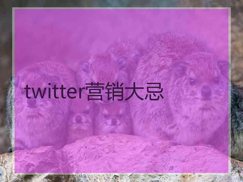 twitter营销大忌