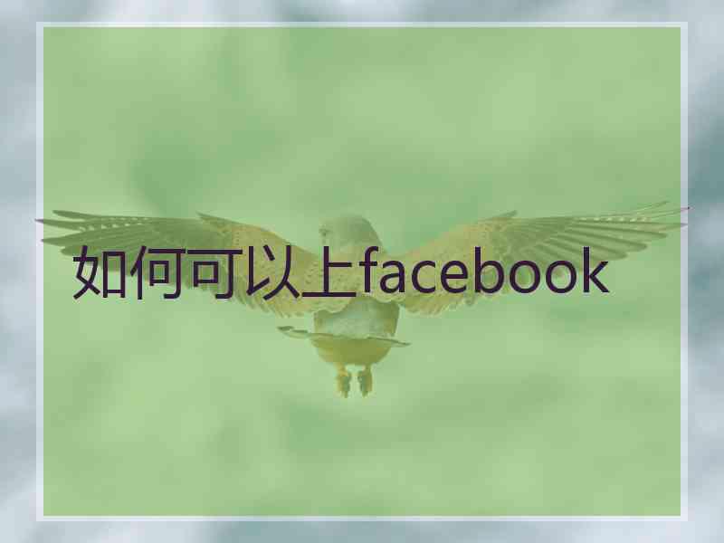 如何可以上facebook