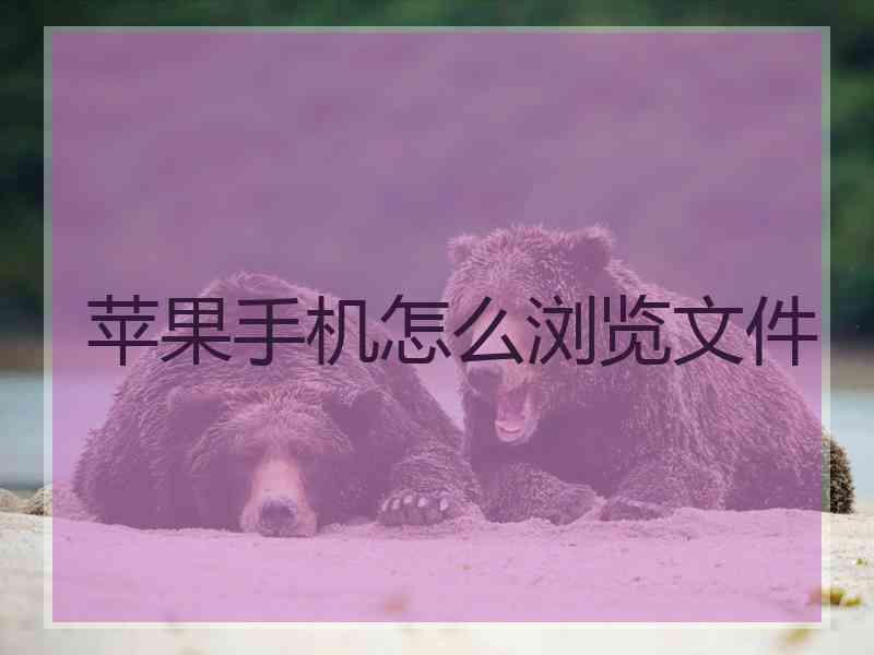 苹果手机怎么浏览文件