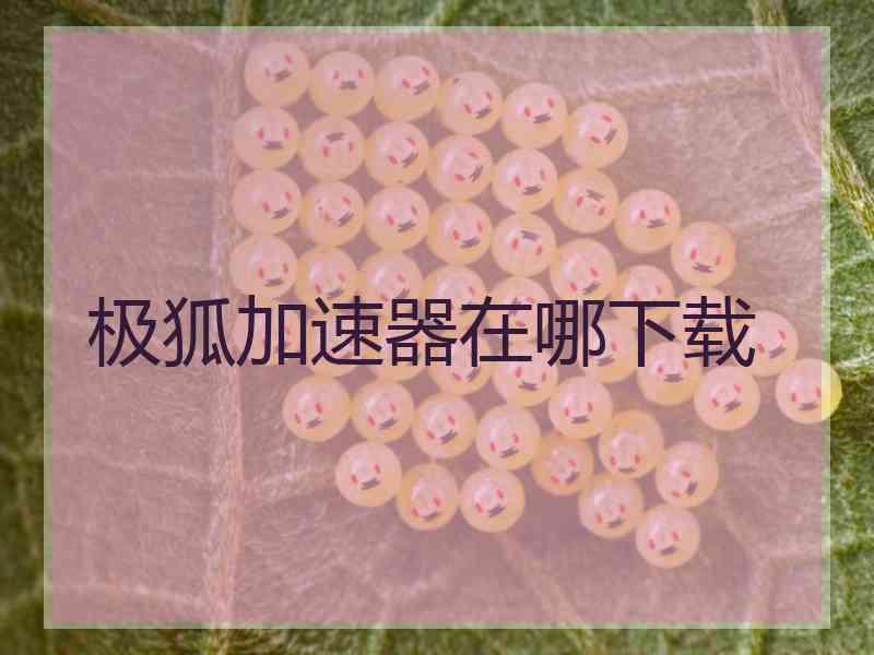 极狐加速器在哪下载
