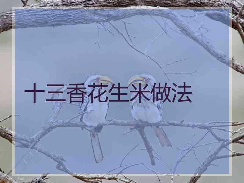 十三香花生米做法