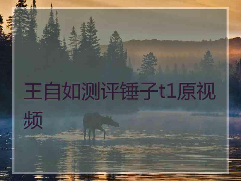王自如测评锤子t1原视频