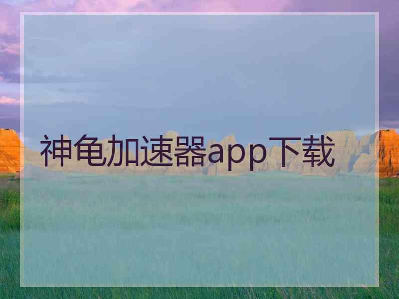 神龟加速器app下载