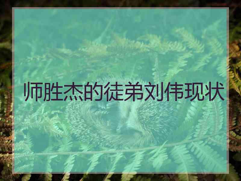 师胜杰的徒弟刘伟现状