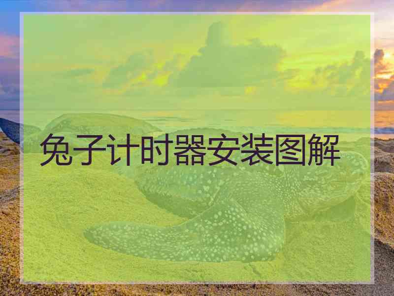 兔子计时器安装图解