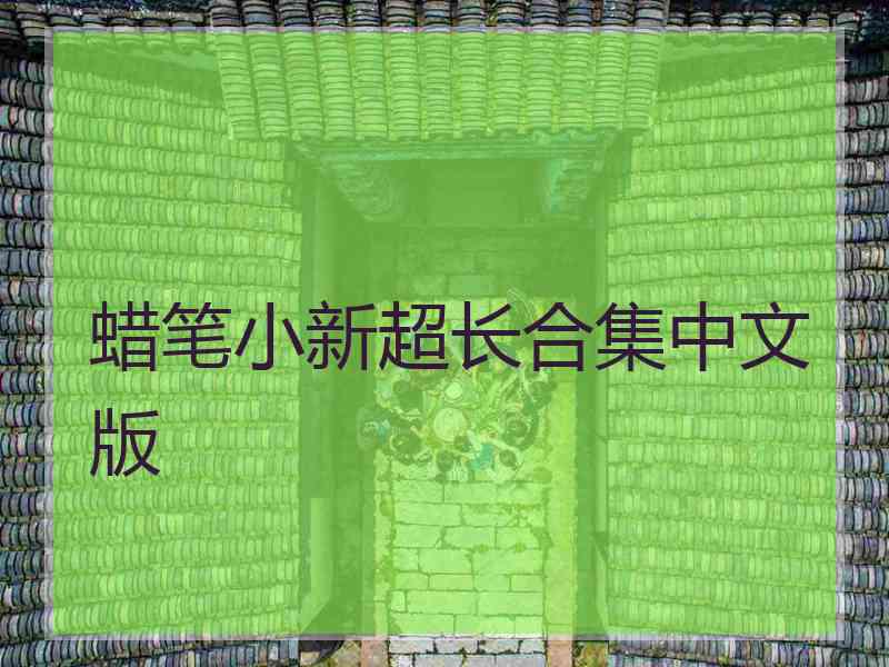 蜡笔小新超长合集中文版