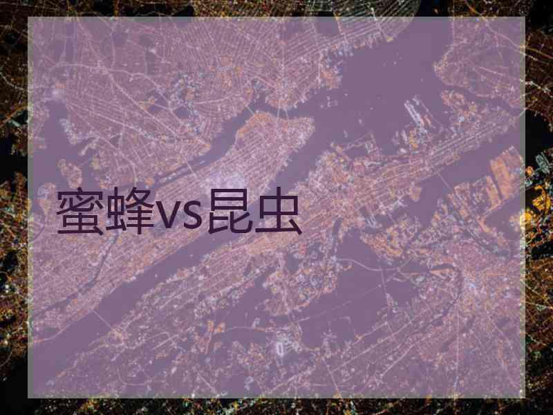 蜜蜂vs昆虫