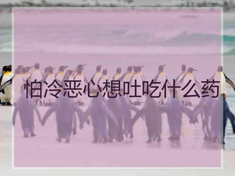 怕冷恶心想吐吃什么药