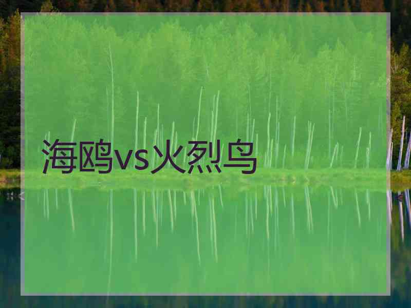 海鸥vs火烈鸟