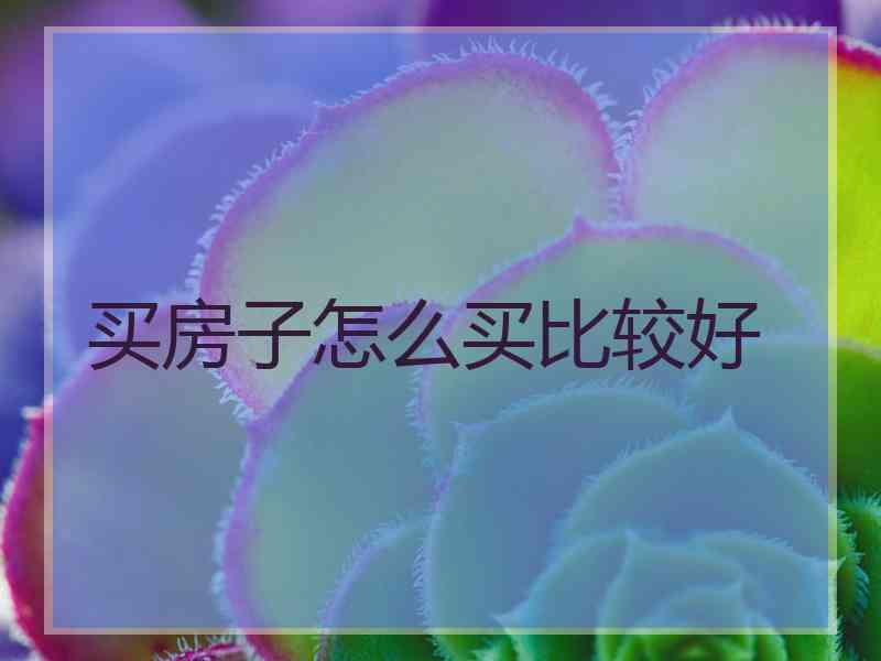 买房子怎么买比较好