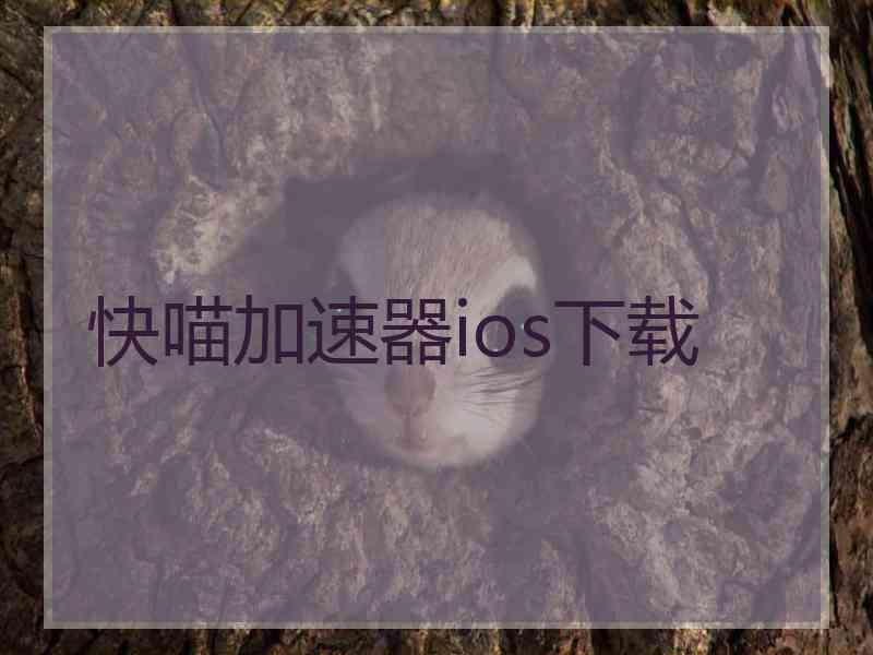快喵加速器ios下载
