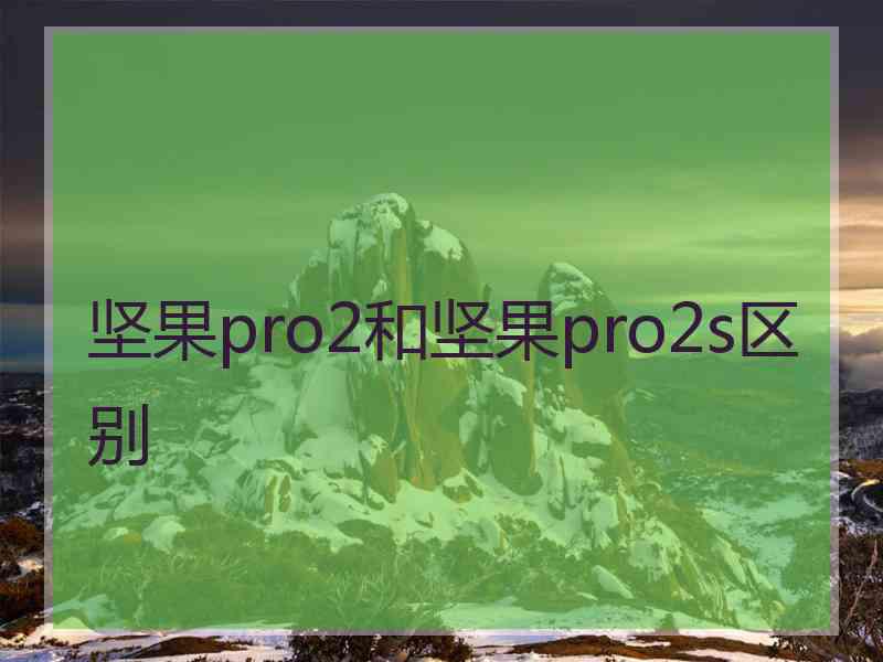 坚果pro2和坚果pro2s区别