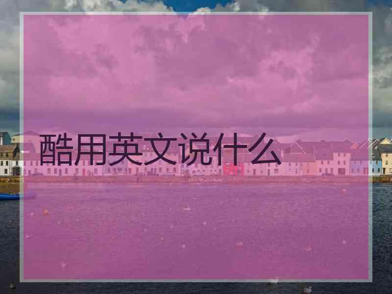 酷用英文说什么