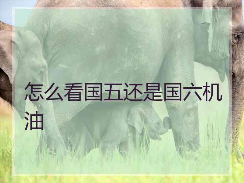 怎么看国五还是国六机油
