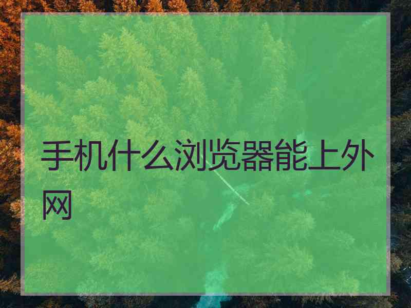 手机什么浏览器能上外网