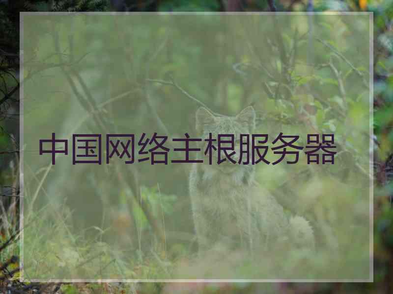 中国网络主根服务器
