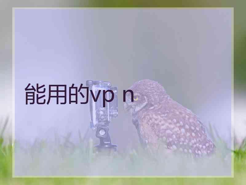 能用的vp n