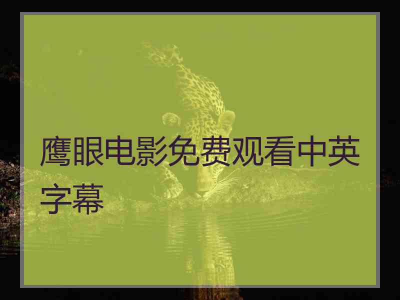 鹰眼电影免费观看中英字幕
