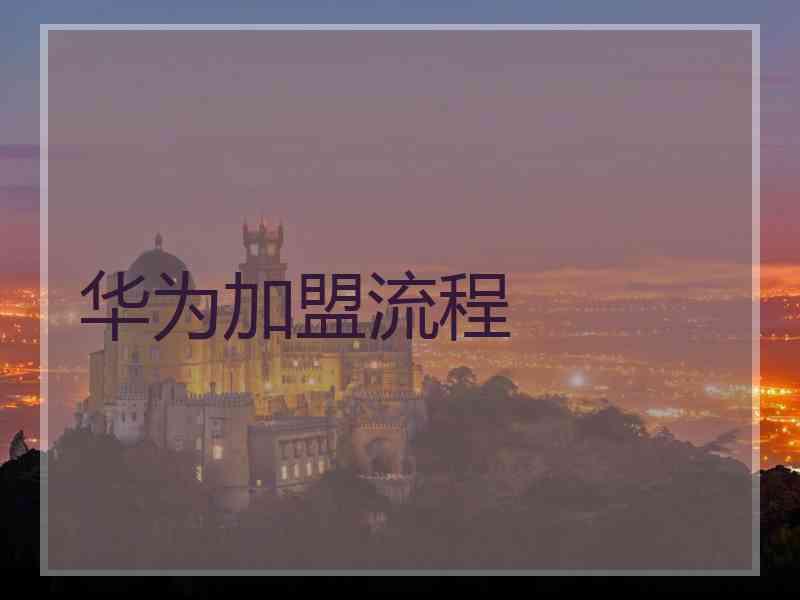 华为加盟流程