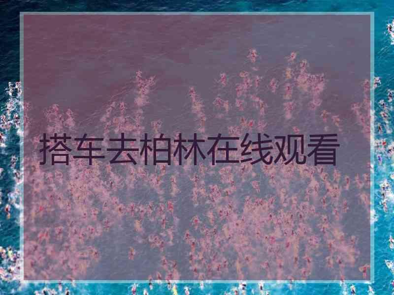 搭车去柏林在线观看