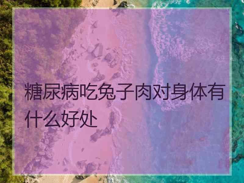 糖尿病吃兔子肉对身体有什么好处