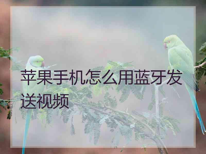 苹果手机怎么用蓝牙发送视频