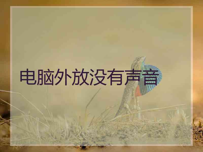 电脑外放没有声音