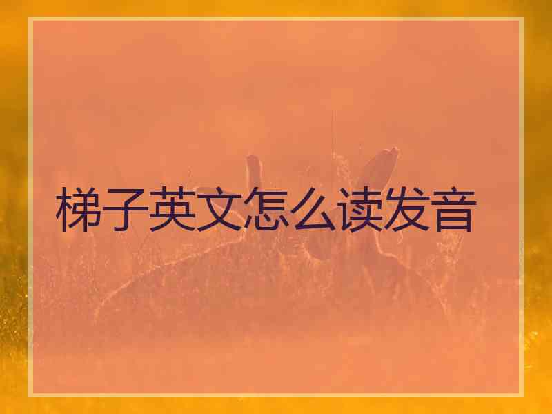 梯子英文怎么读发音