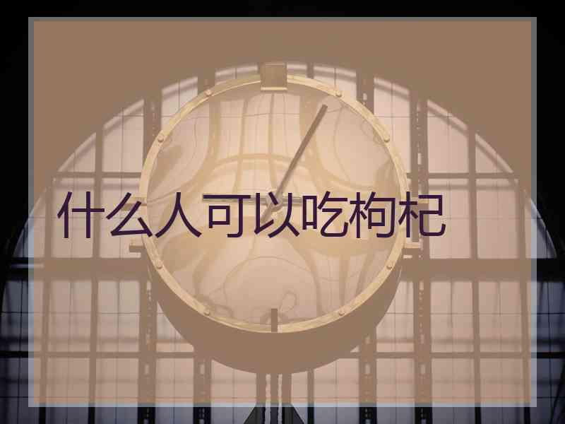 什么人可以吃枸杞