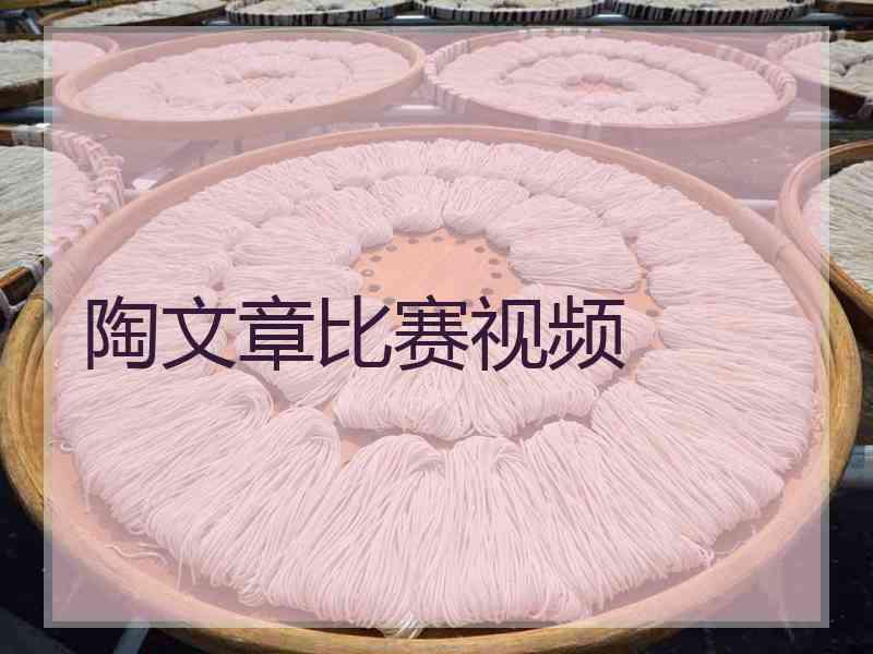 陶文章比赛视频