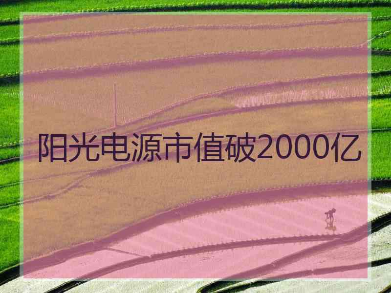 阳光电源市值破2000亿