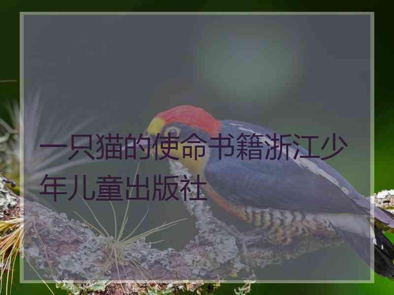 一只猫的使命书籍浙江少年儿童出版社
