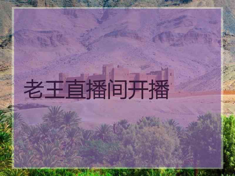 老王直播间开播