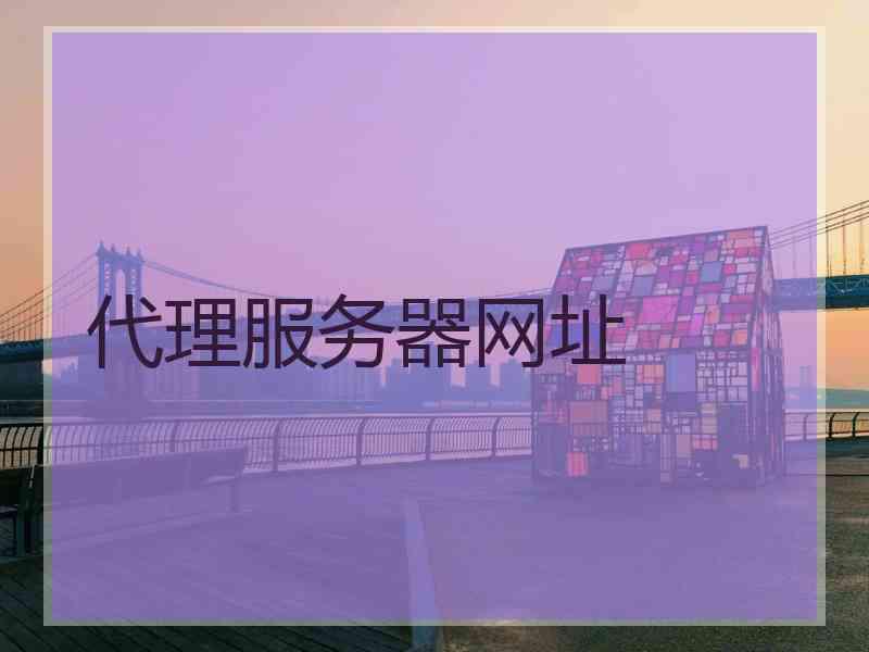 代理服务器网址
