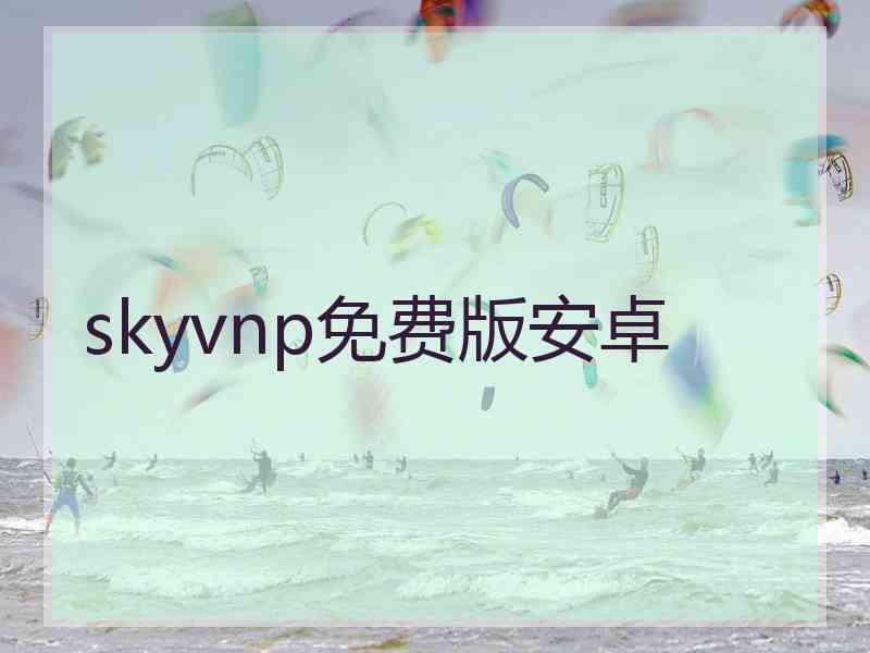 skyvnp免费版安卓