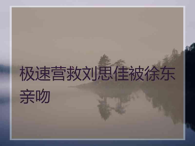 极速营救刘思佳被徐东亲吻