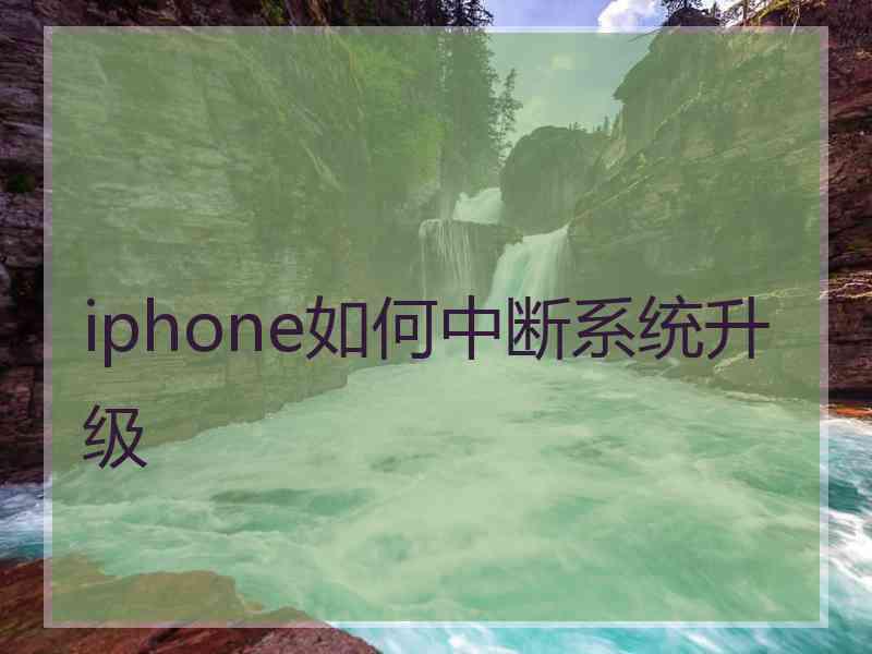 iphone如何中断系统升级