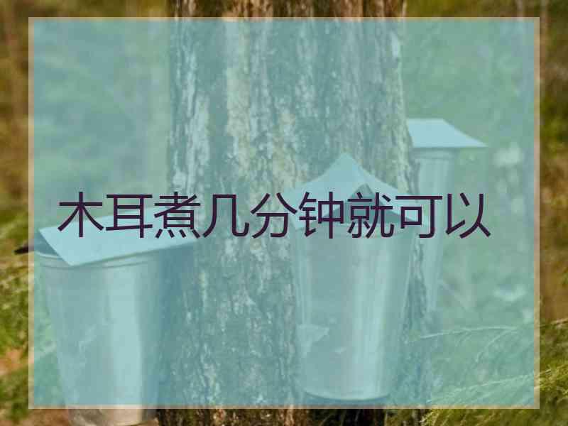 木耳煮几分钟就可以