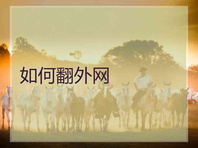 如何翻外网