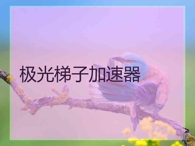 极光梯子加速器
