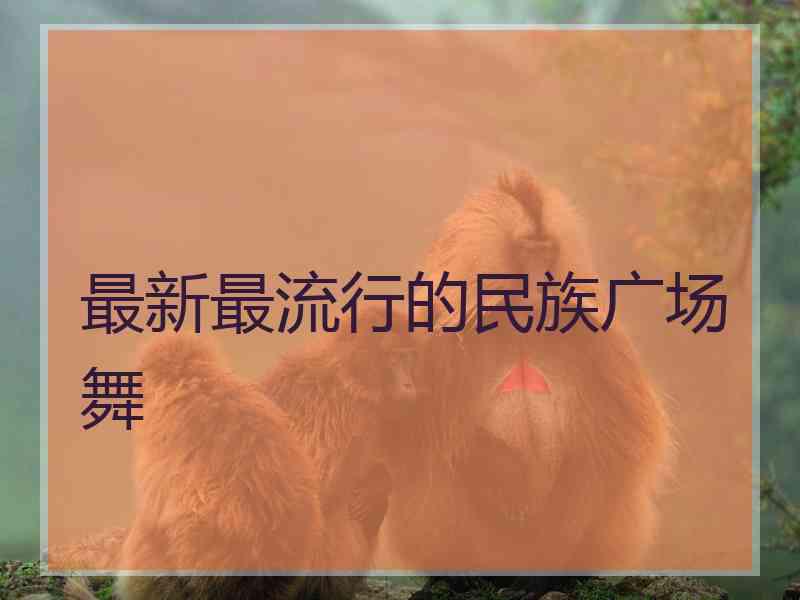 最新最流行的民族广场舞