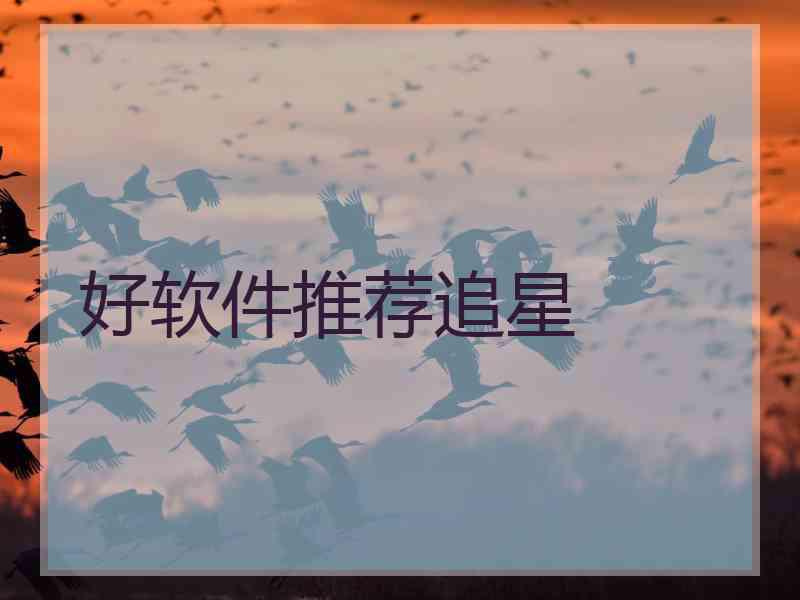 好软件推荐追星