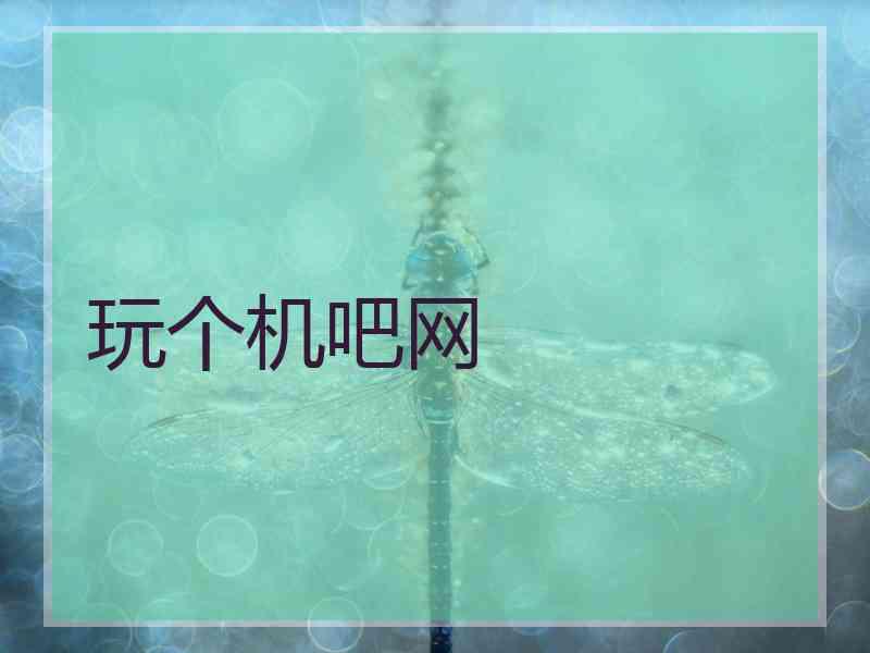 玩个机吧网