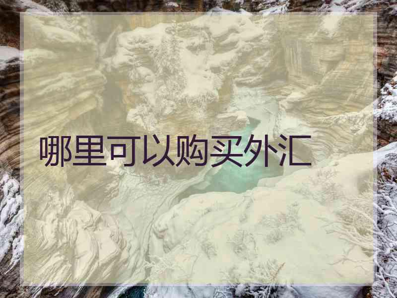 哪里可以购买外汇