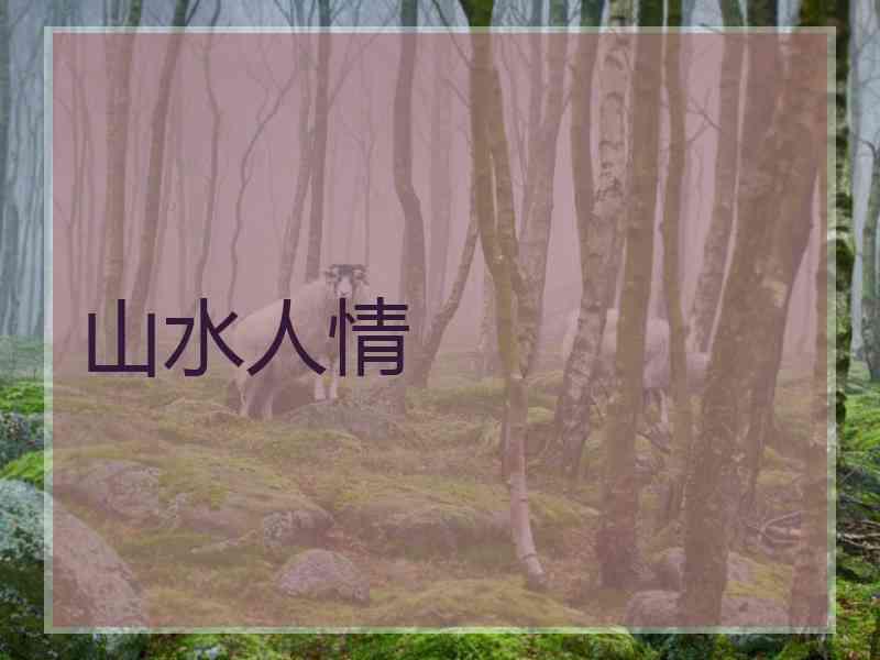 山水人情